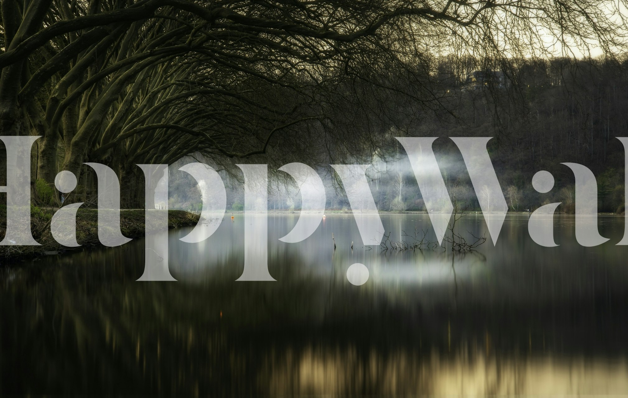 Misty lakeside wall mural with trees reflecting on calm water.