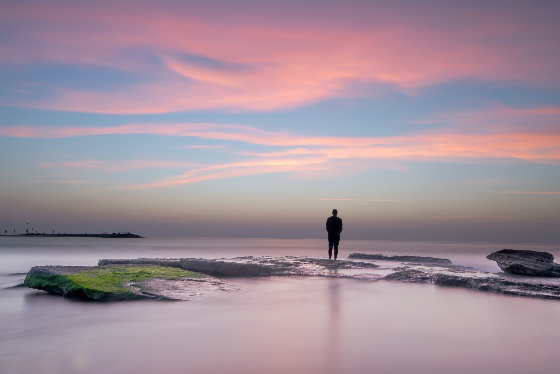 Pink Dream Standard Wallpaper