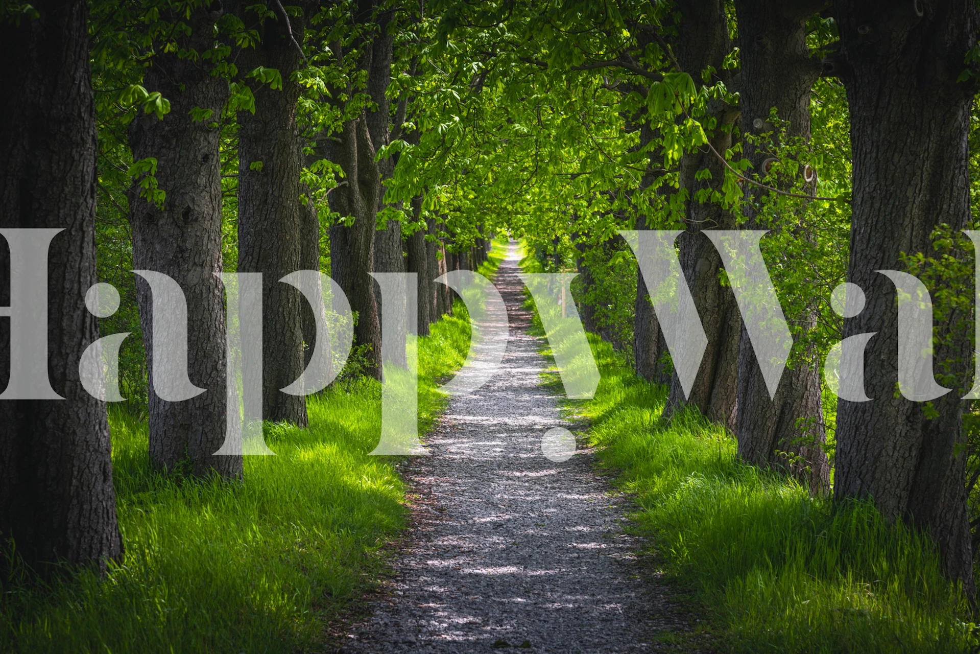Chestnut Avenue wall mural with lush green trees and a sunlit path
