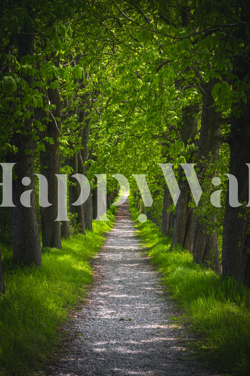 Tree lined gravel pathway with lush green foliage wallpaper