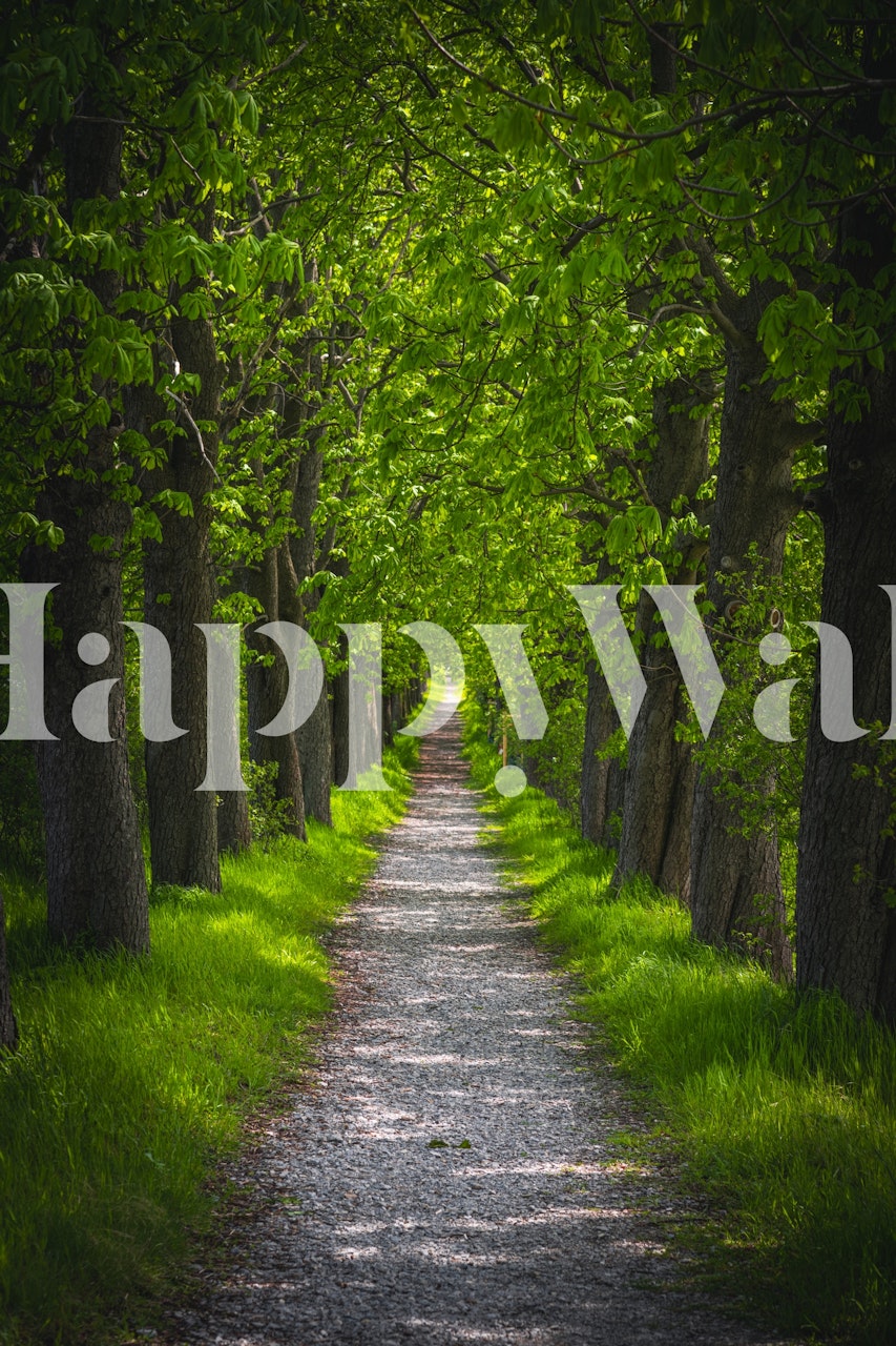 Tree lined gravel pathway with lush green foliage wallpaper