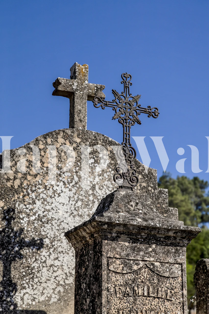 Historic Crypt in Provence tapet i et rom