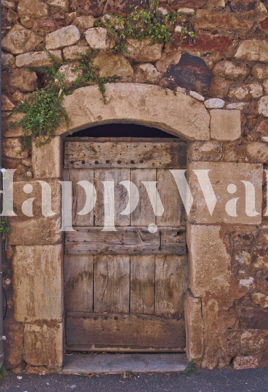 Rustic wooden door on stone wall wallpaper