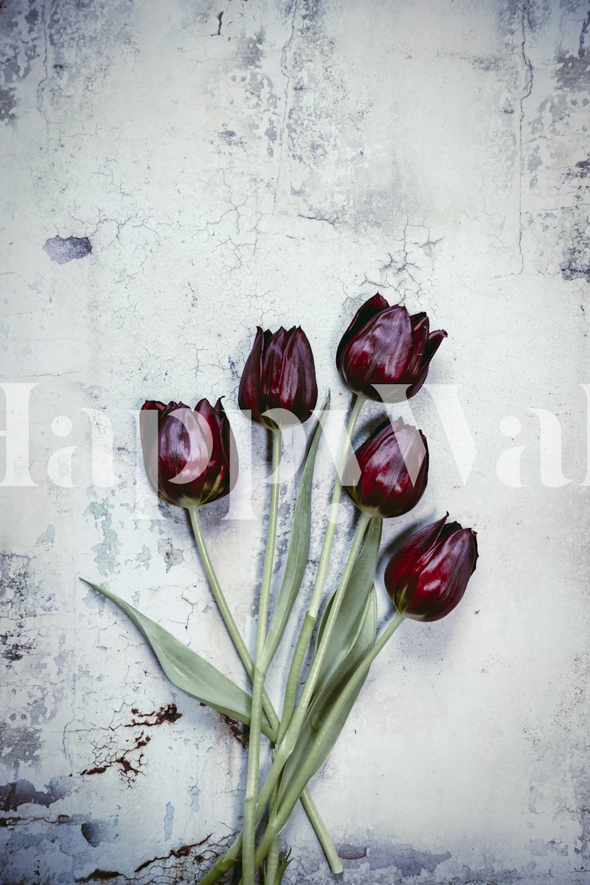 Five dark red tulips on a textured blue background wallpaper