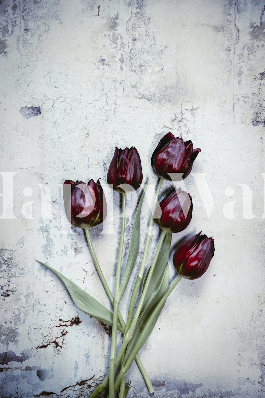 Five dark red tulips on a textured blue background wallpaper