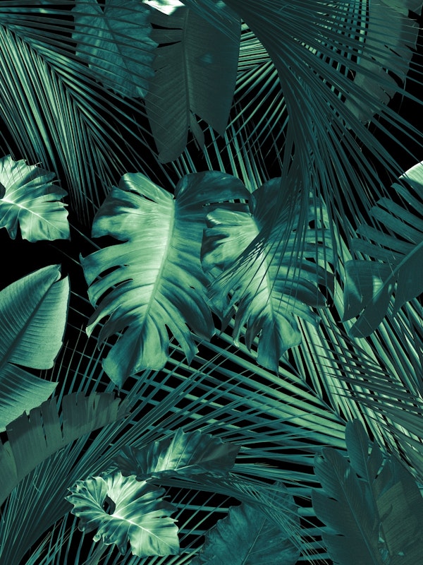 Jungle Night Leaves Siesta 1