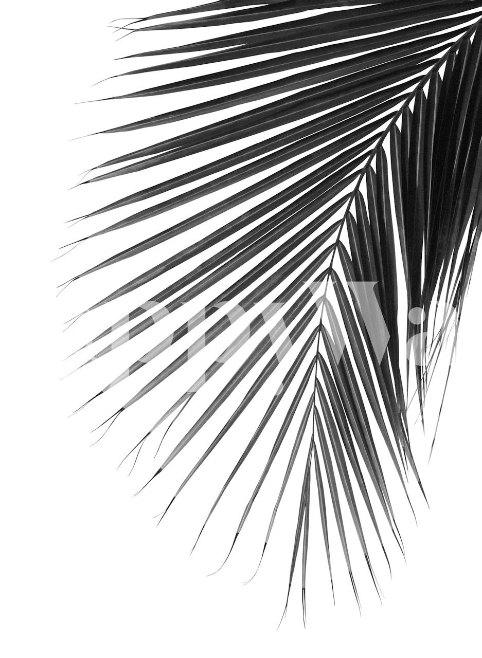 Minimal Palm Leaf Finesse 1 i et rum