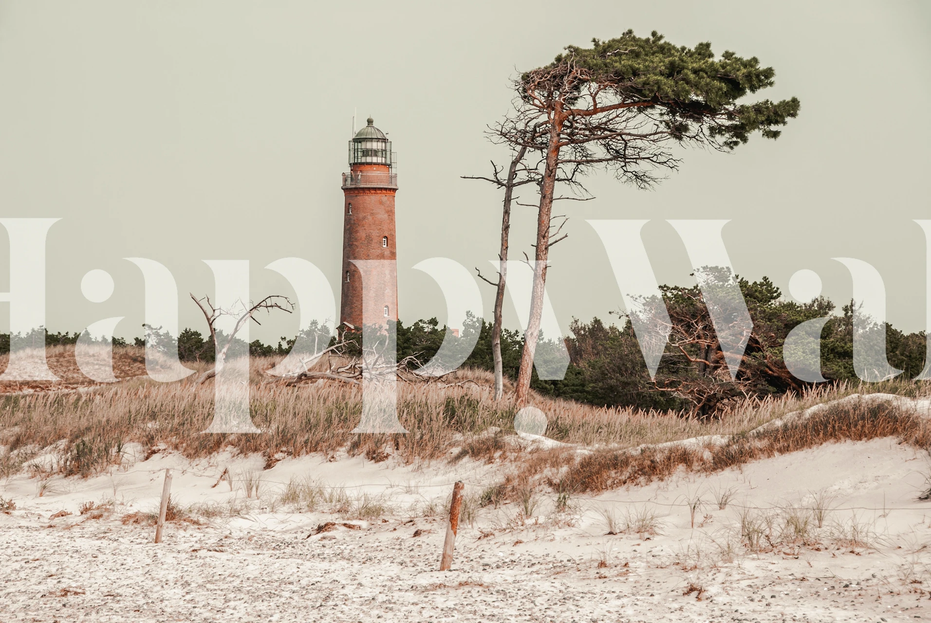 Prerow lighthouse wallpaper in a room