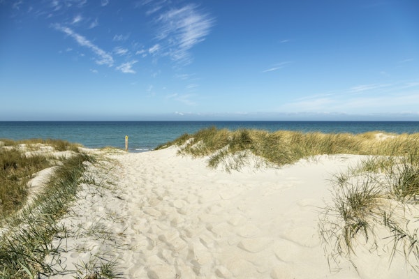 Baltic Sea Day At The Beach