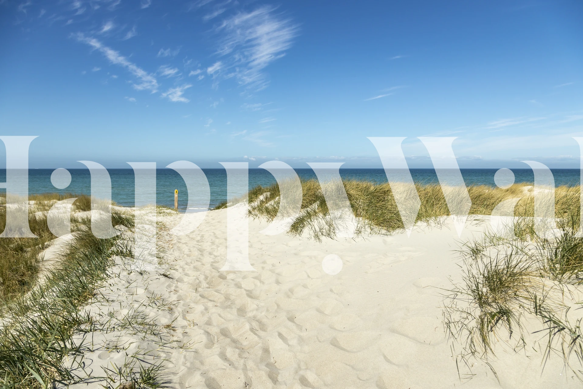 Beach path with white sand and green grass leading to ocean wallpaper
