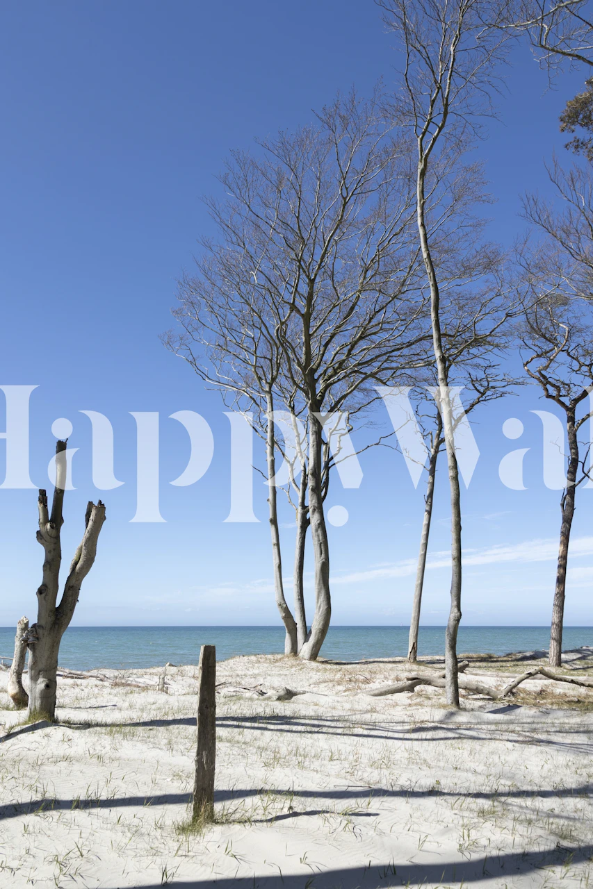 Baltic Sea Beach Day II behang in een kamer