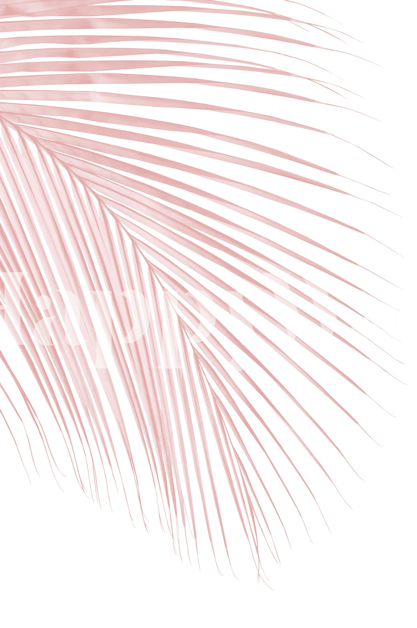 Blush pink palm leaf wallpaper in a room setting