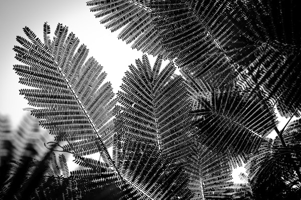 Natural Geometries I