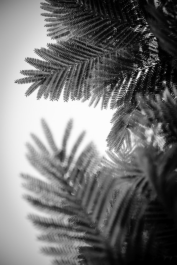 Natural Geometries V