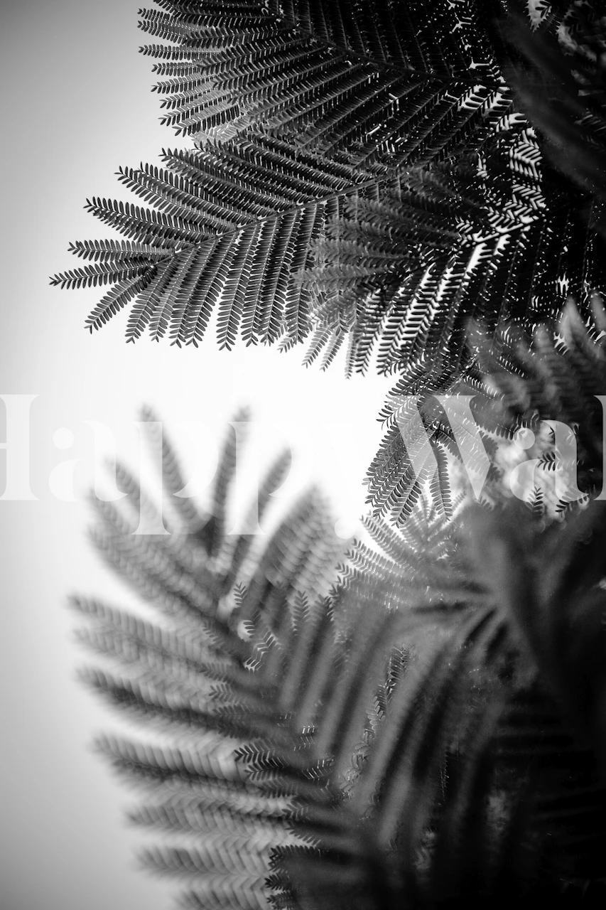 Natural Geometries V wallpaper design