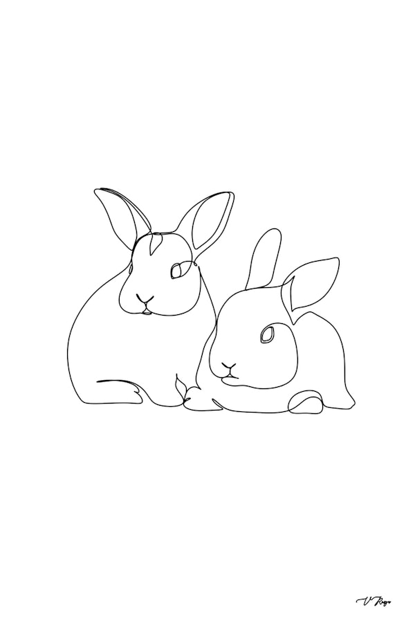 Rabbits line art