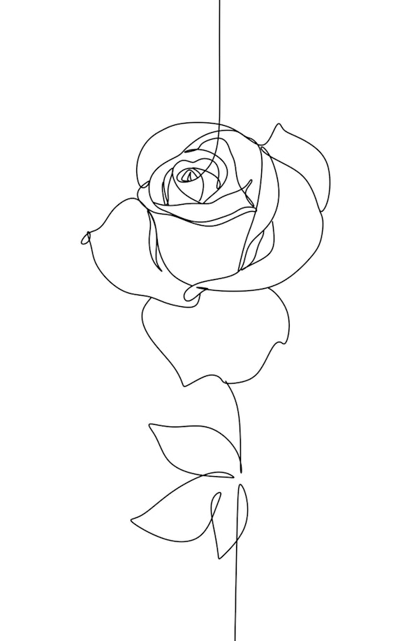 Rose Line art