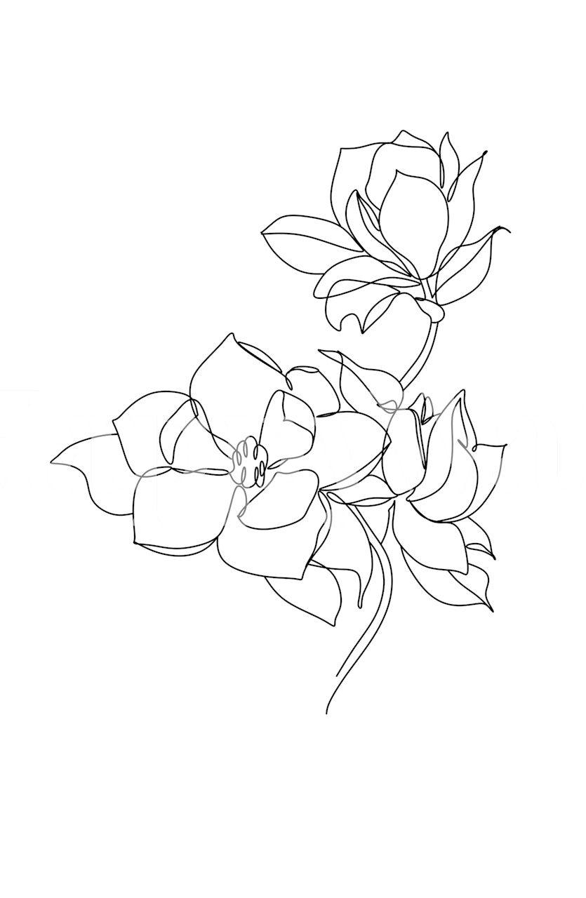 Minimalistyczna fototapeta z motywem magnolii do salonu