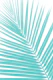 Soft Turquoise Palm Leaf 2