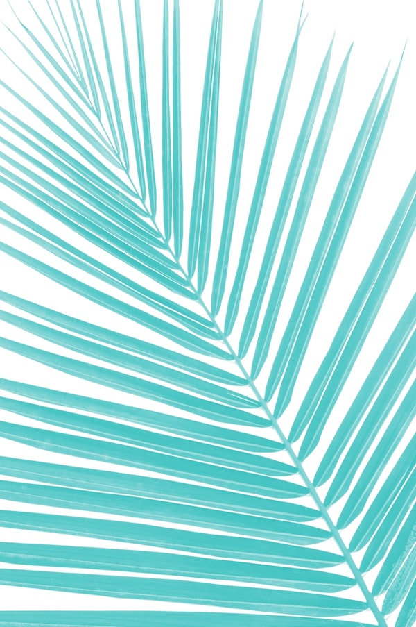 Soft Turquoise Palm Leaf 2