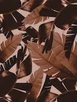 Banana Palm Leaves Jungle 1 tapetit