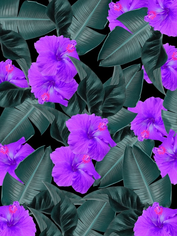 Hibiscus Jungle Leaves Dream 1
