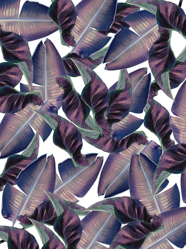 Iridescent Tropical Leaves 1