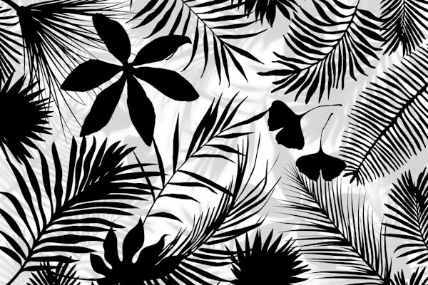 Black And White Palm Leaf Art