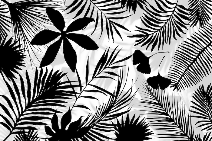 Black And White Palm Leaf Art wallpaper wallpaper | Happywall