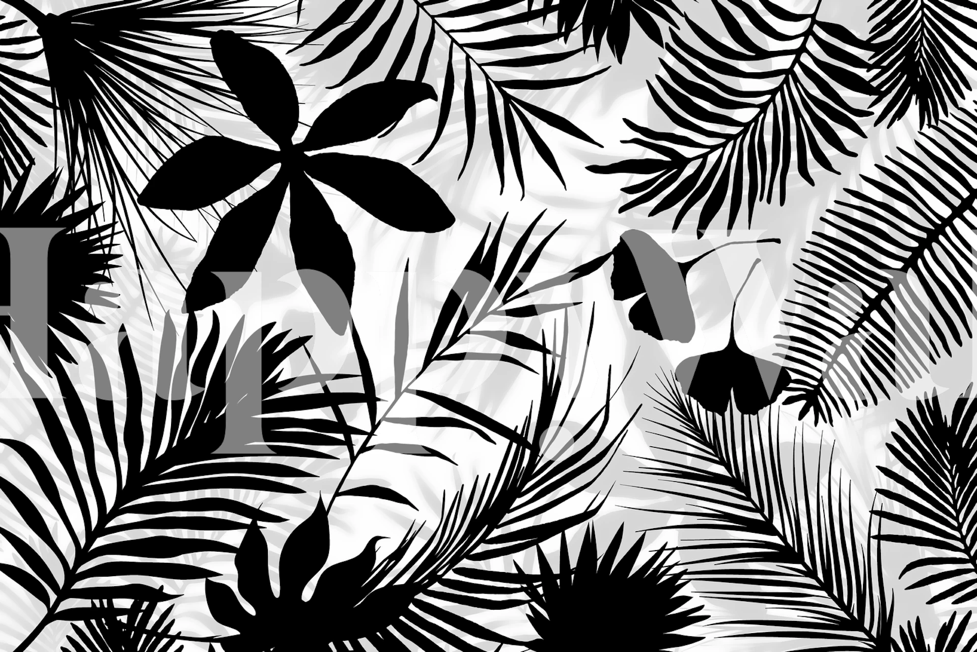 Black tropical leaves on a white background wallpaper