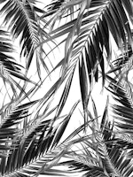 Palm Leaves Jungle Cali 2 ταπετσαρία