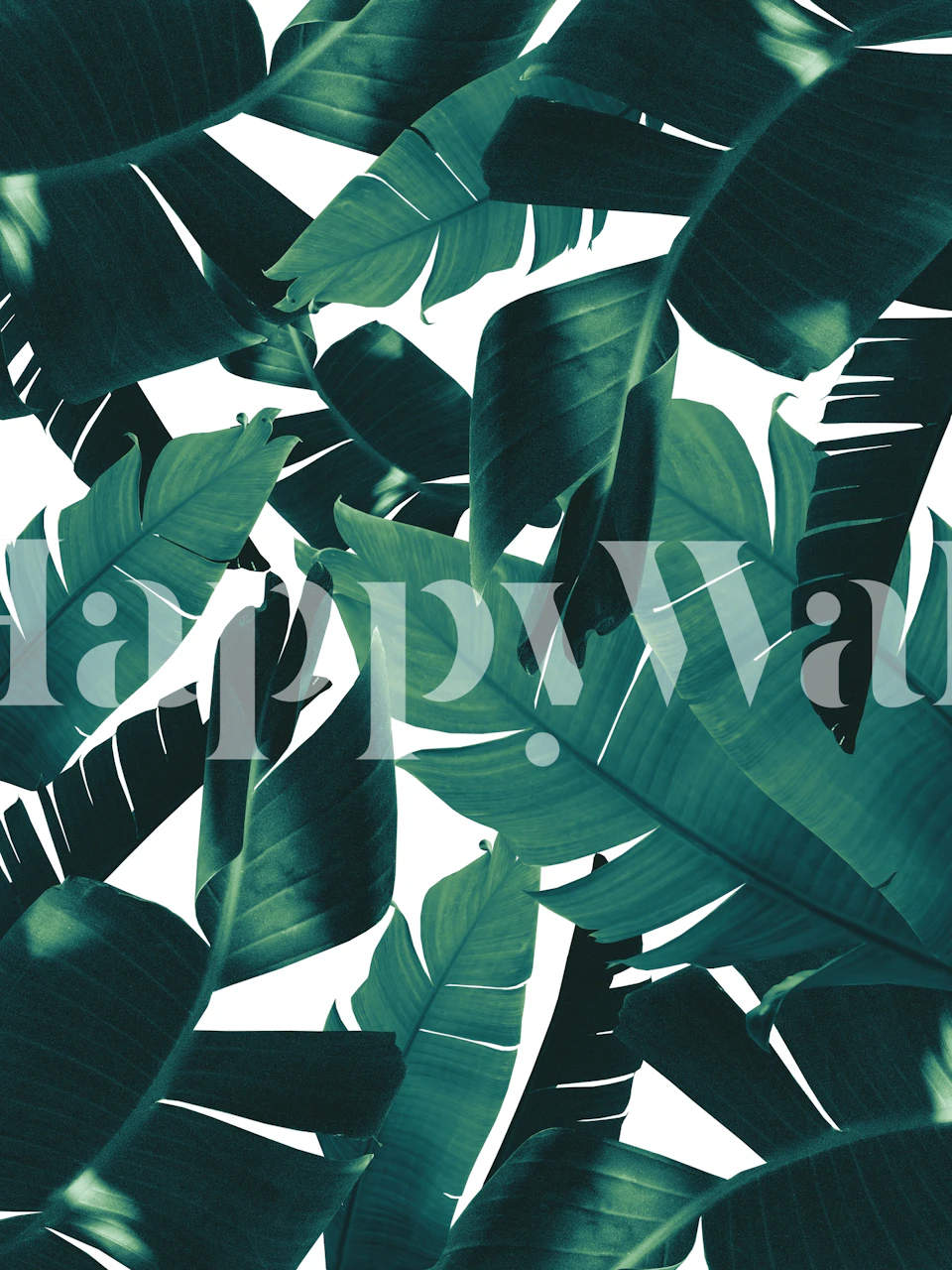Tropical green palm leaves on a white background wallpaper