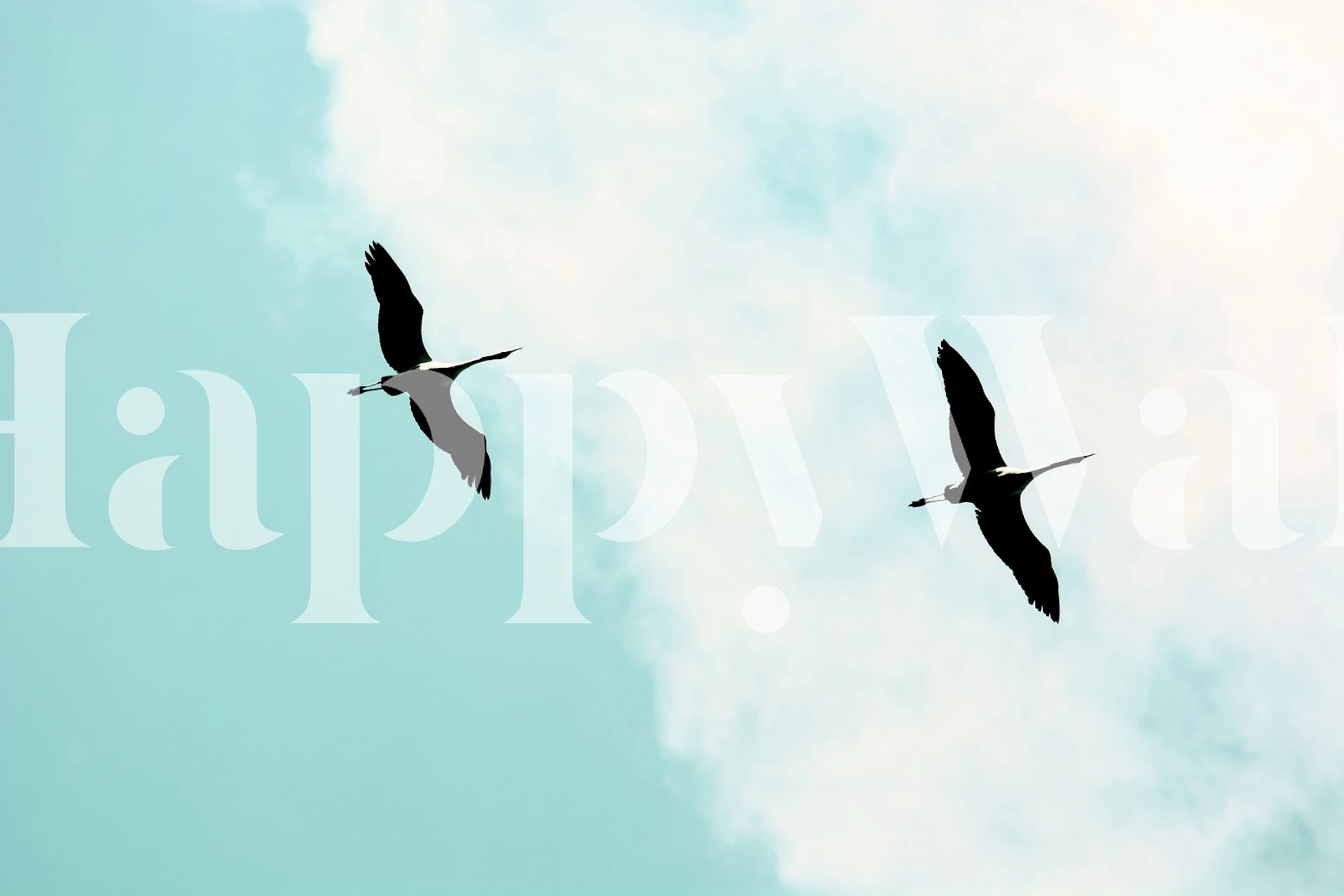 Silhouettes of cranes flying against a blue sky wallpaper