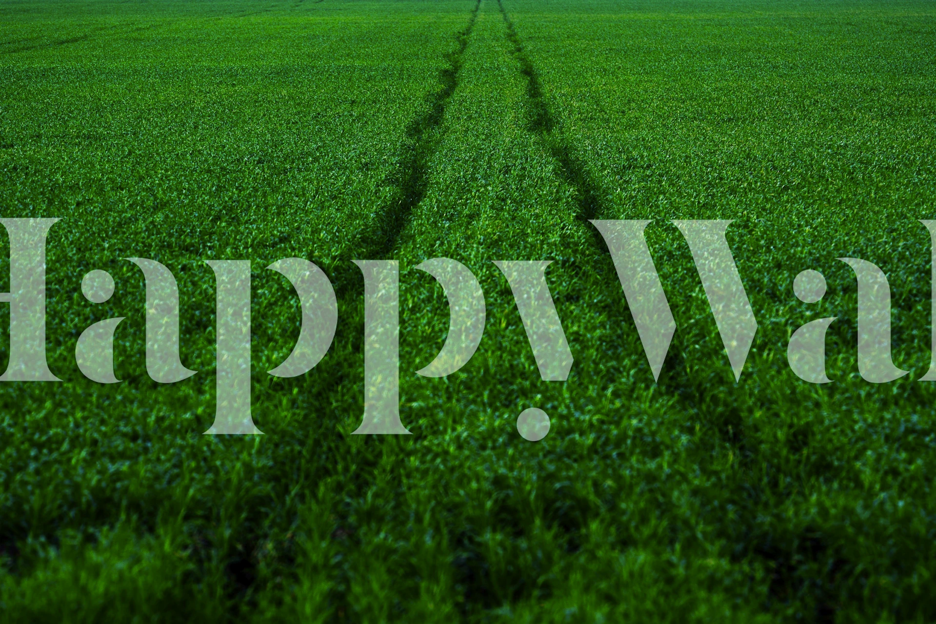 Green athletic field with track lines wall mural