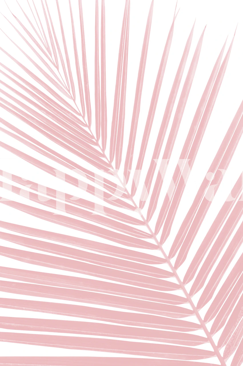 Blush pink palm leaf pattern on white wallpaper