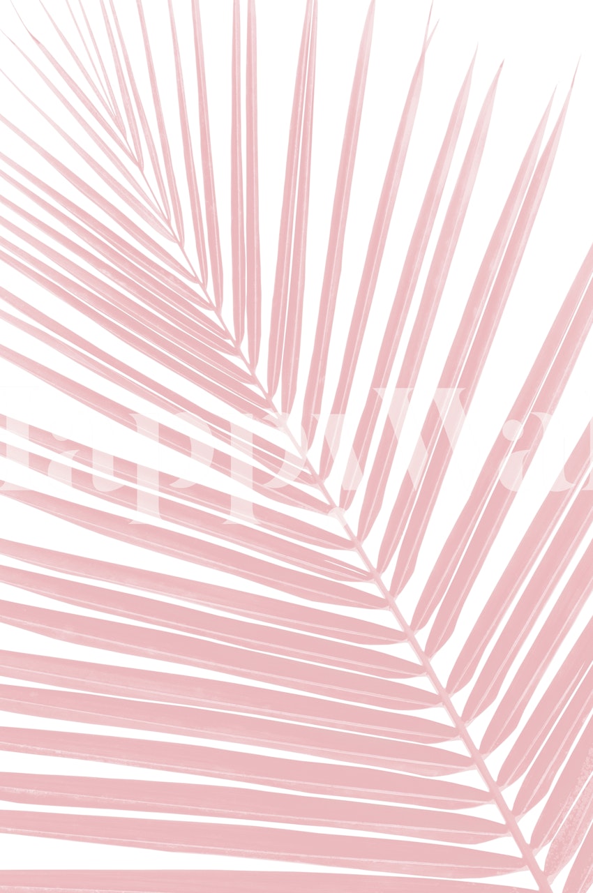 Blush pink palm leaf pattern on white wallpaper