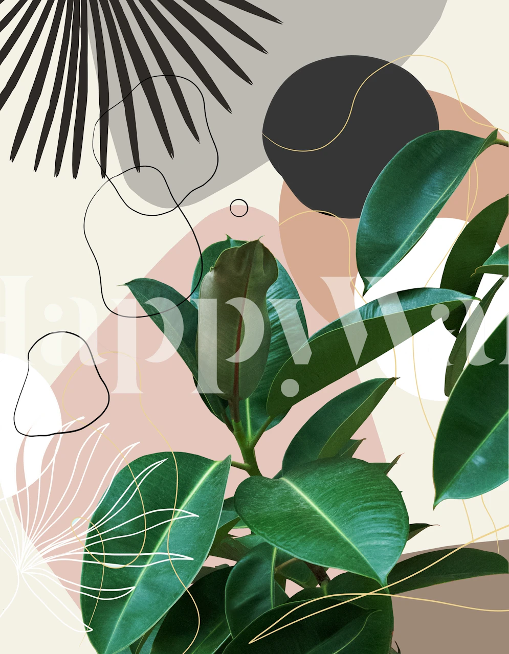 Ficus Fan Palm Finesse 1 wallpaper in a room