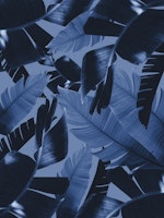 Banana Palm Leaves Jungle 3 tapetit