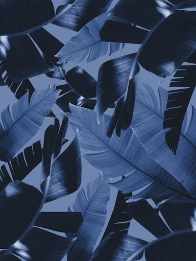 Τοιχογραφία