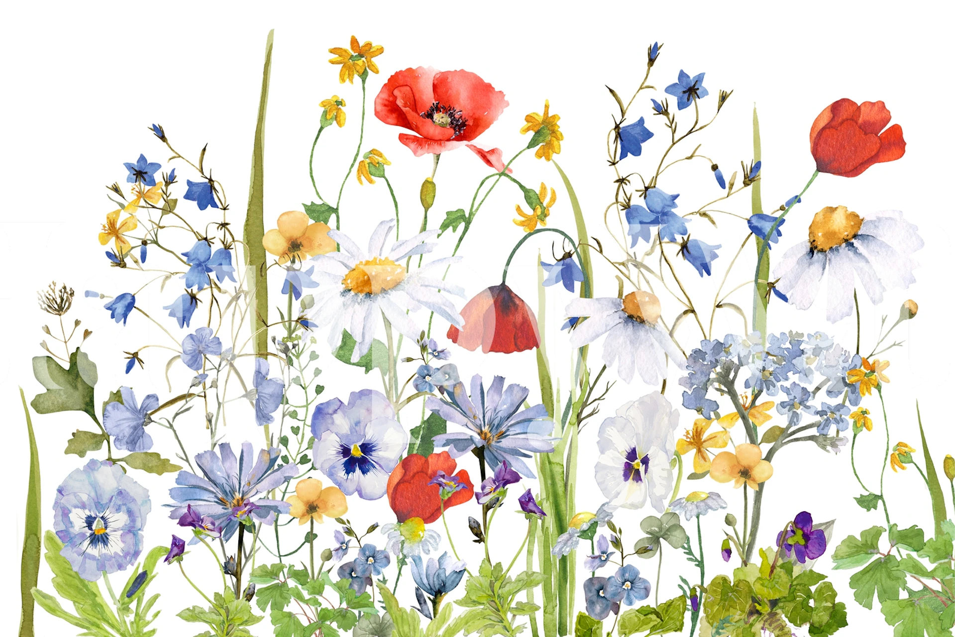 Colorful Midsummer Meadow diseño de papel pintado