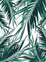 Palm Leaves Jungle Vibes 3 ταπετσαρία
