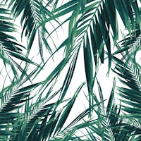 Palm Leaves Jungle Vibes 3 tapete