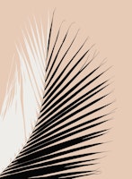 Minimal Yin Yang Palm 1 papel pintado