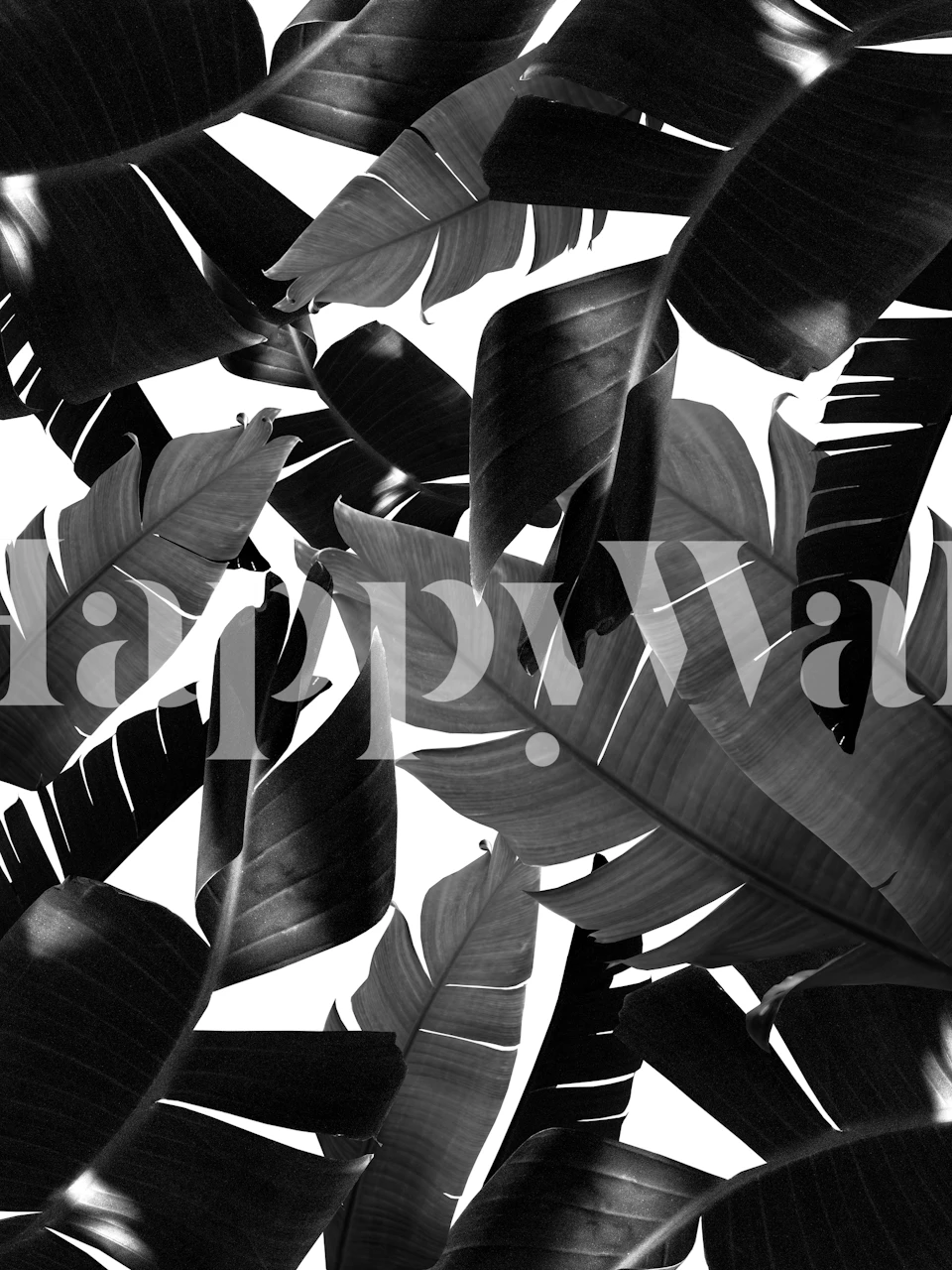 Jednobarevná fototapeta banánových palmových listů na téma moderní džungle