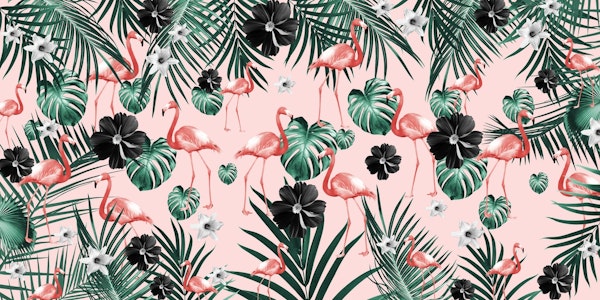 Tropical Flamingo Flower 4a