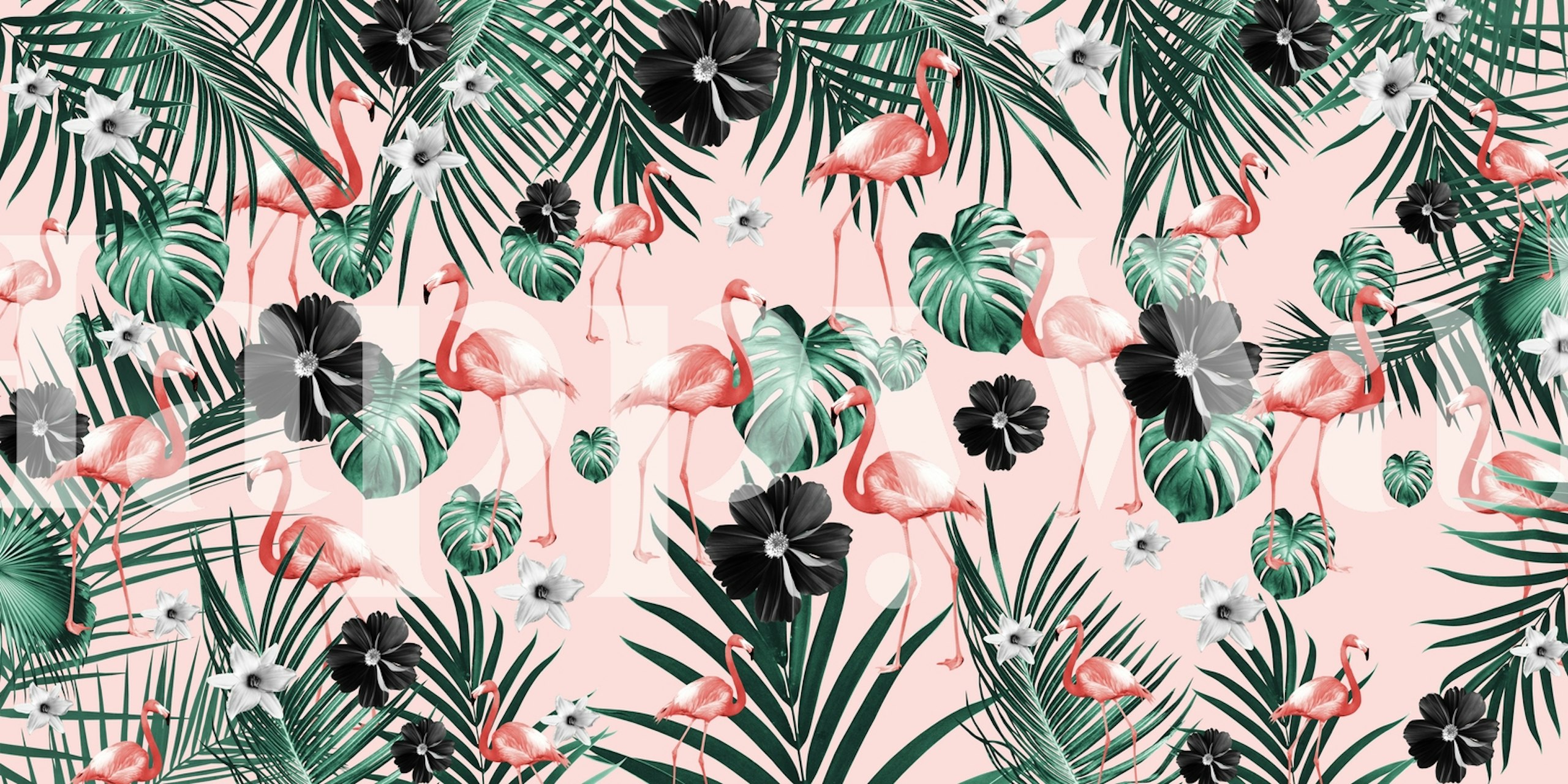 Tropical Flamingo wallpaper design u sobi