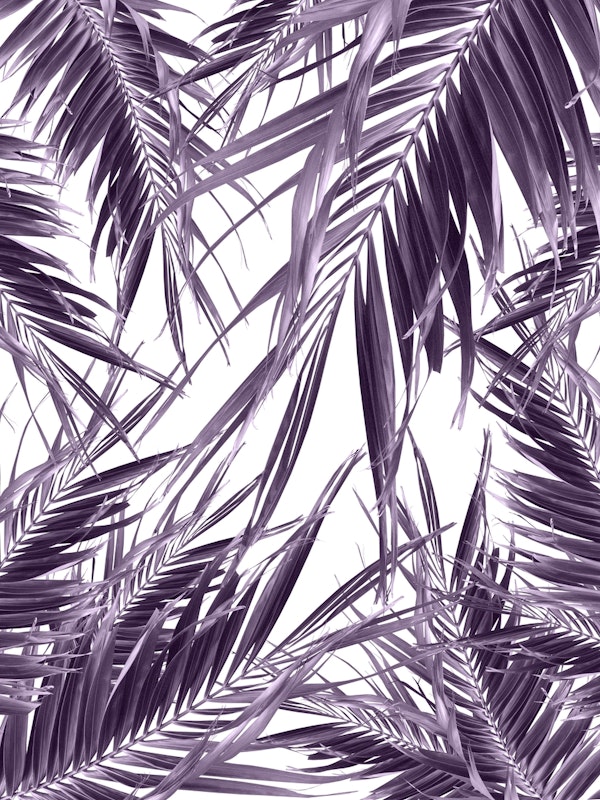 Palm Leaves Jungle Vibes 4