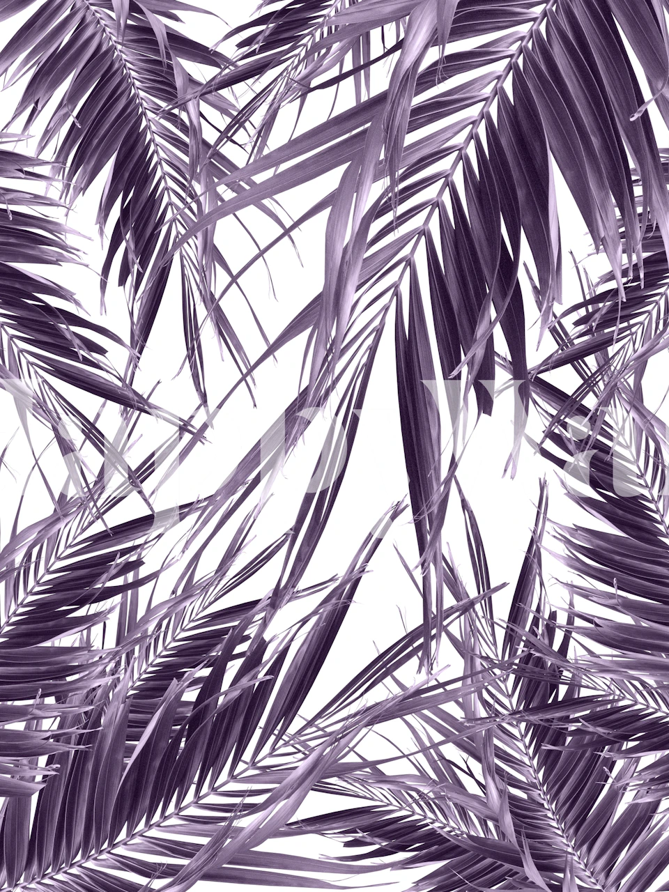 Monochrome palm leaves wall mural creating a dense jungle effect