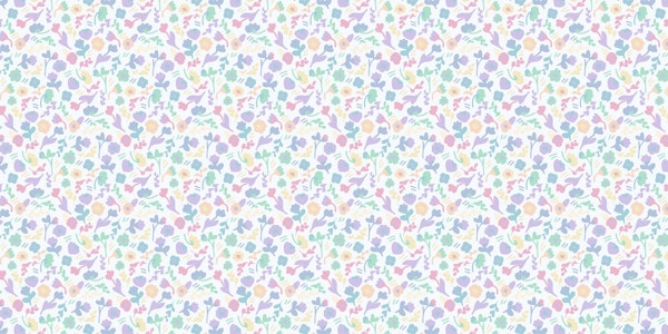 Rainbow Flower Field