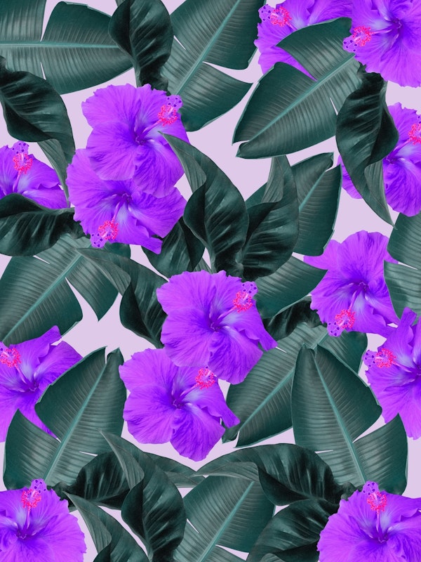 Hibiscus Jungle Leaves Dream 2